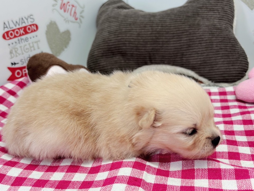 赤ちゃん写真1-2