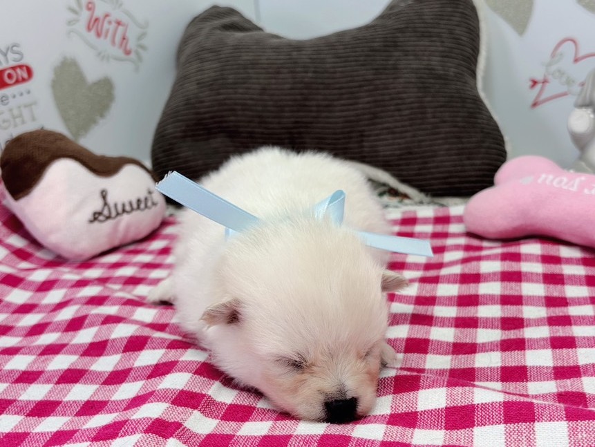 赤ちゃん写真1-1