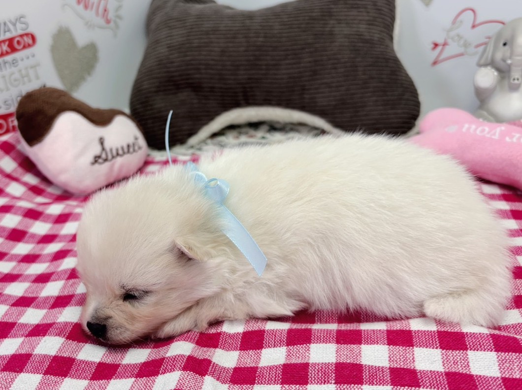 赤ちゃん写真1-2