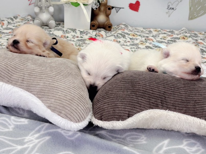 赤ちゃん写真1-3