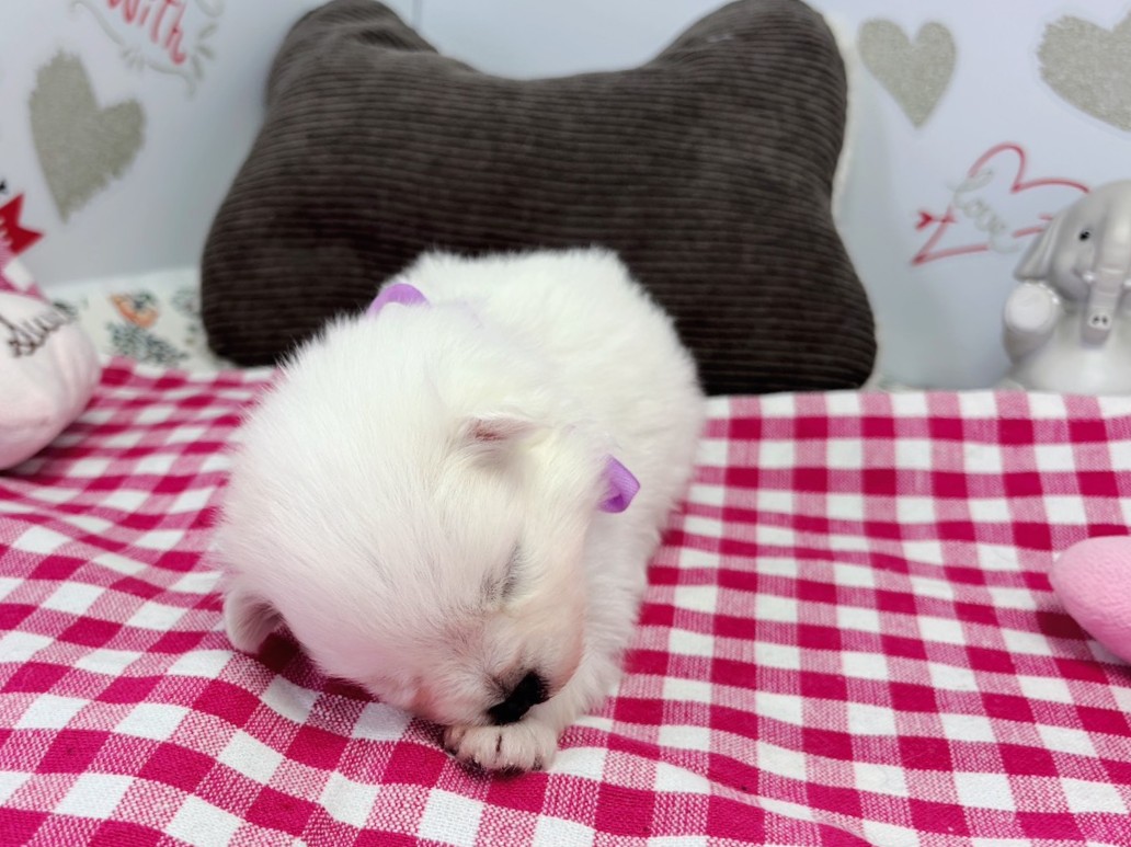 赤ちゃん写真1-1