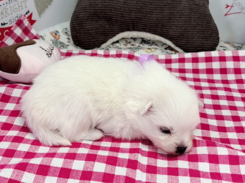 赤ちゃん写真1-2