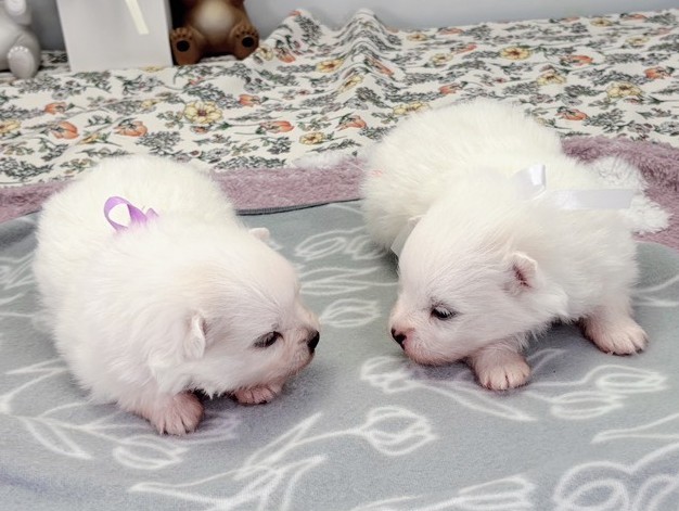 赤ちゃん写真1-3