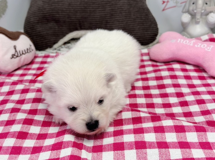 赤ちゃん写真1-1