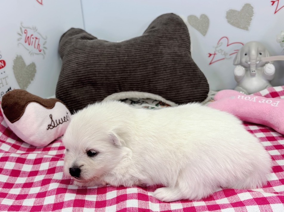 赤ちゃん写真1-2