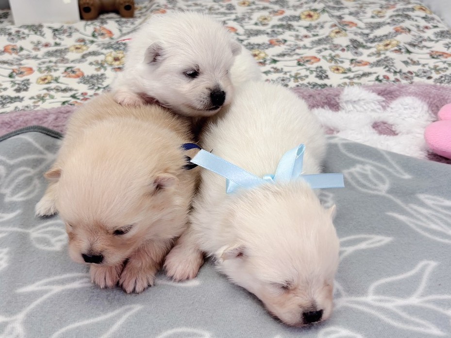 赤ちゃん写真1-3