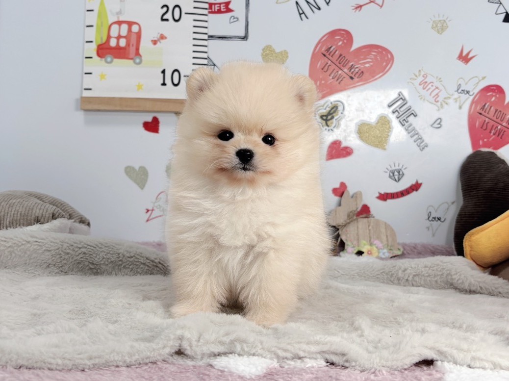 赤ちゃん写真2-1