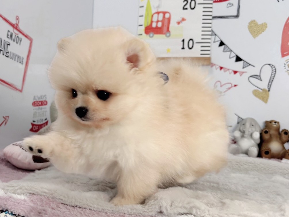 赤ちゃん写真2-2