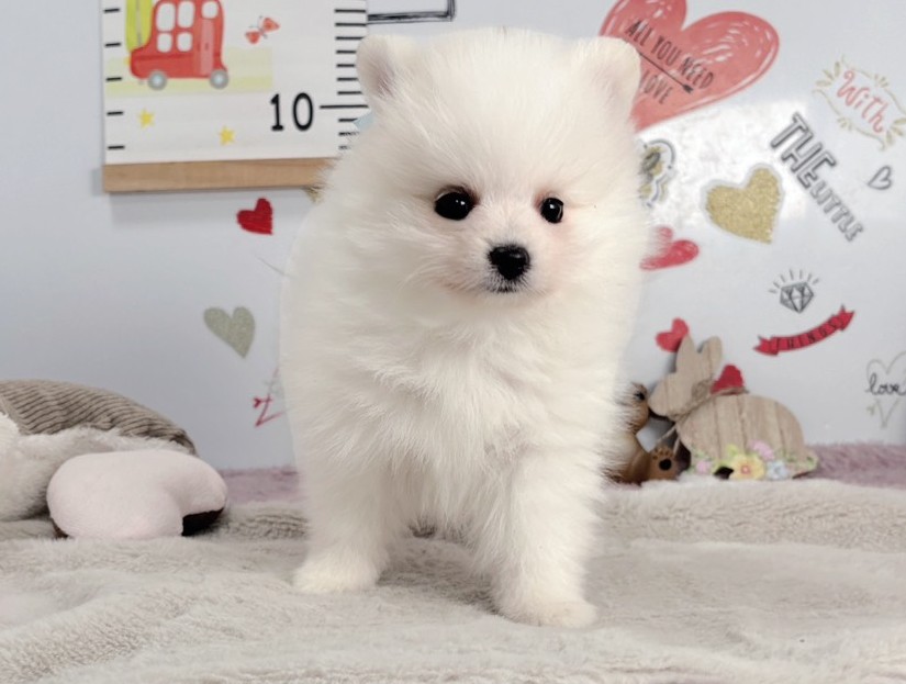 赤ちゃん写真2-1