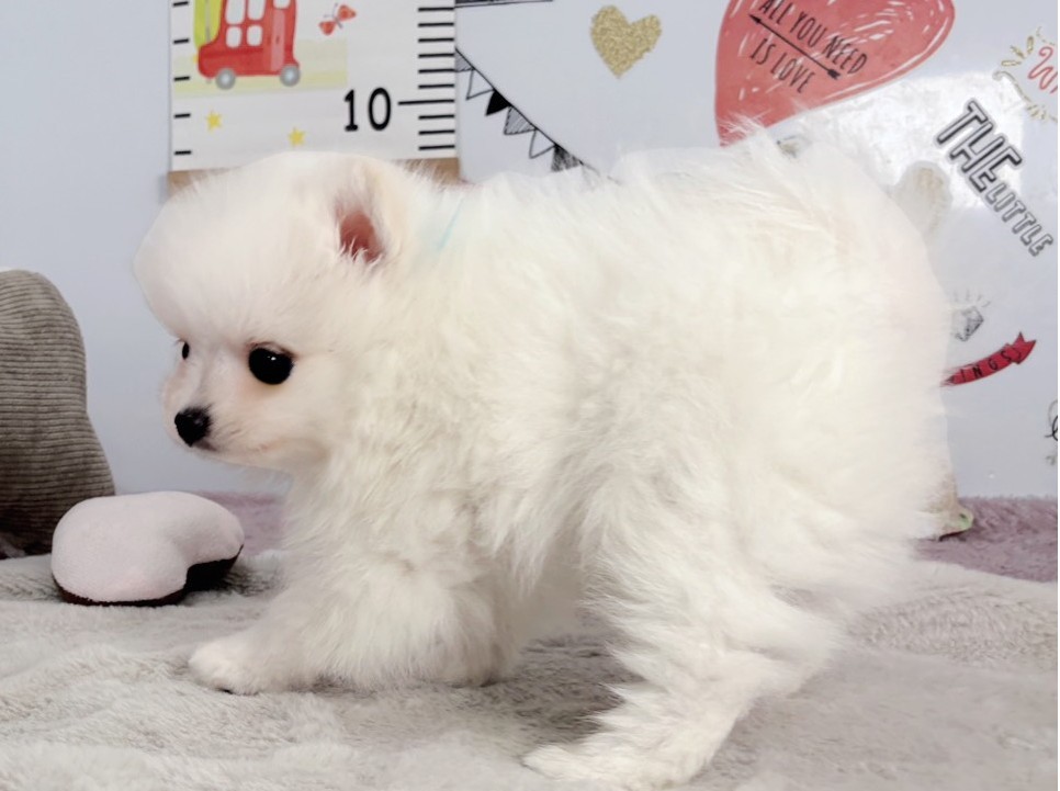 赤ちゃん写真2-2