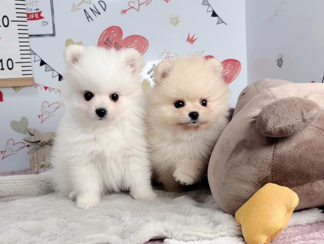 赤ちゃん写真2-3