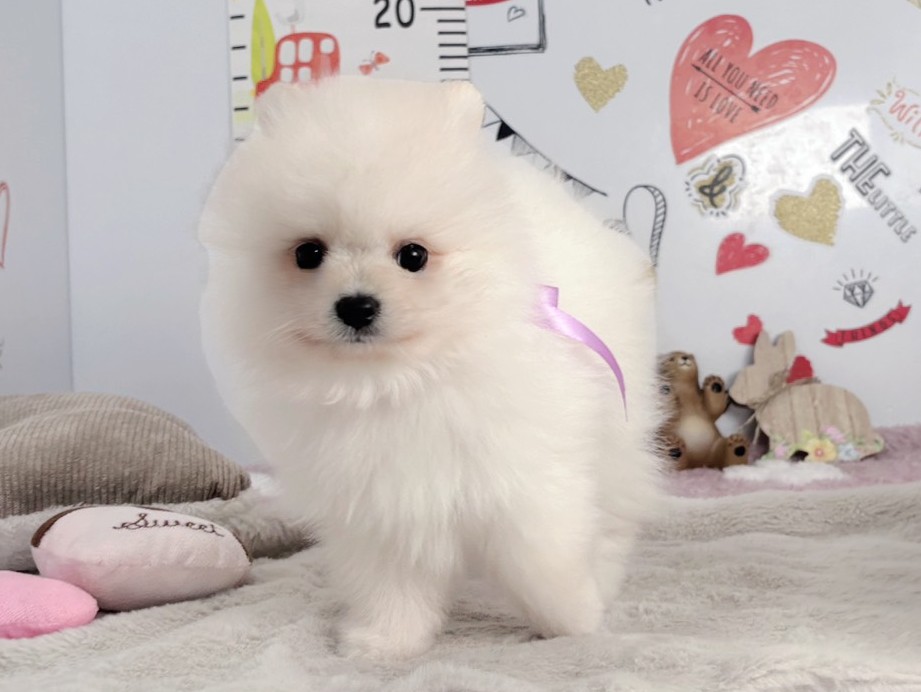 赤ちゃん写真2-1