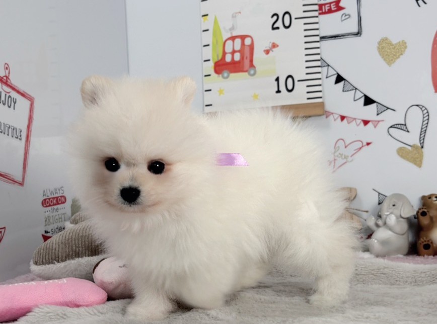 赤ちゃん写真2-2