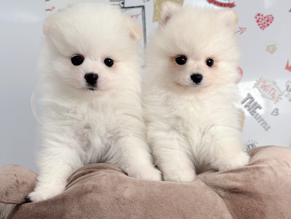赤ちゃん写真2-3
