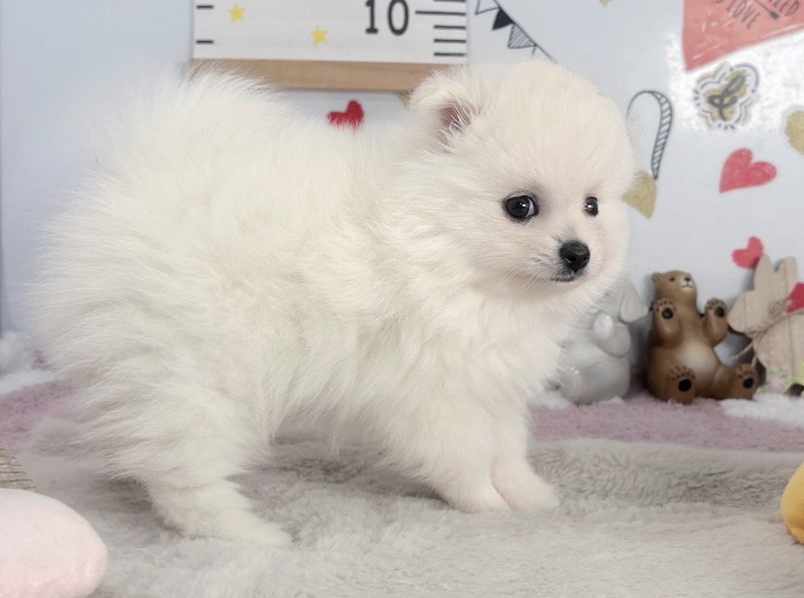 赤ちゃん写真2-2