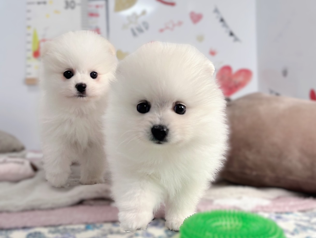 赤ちゃん写真2-3