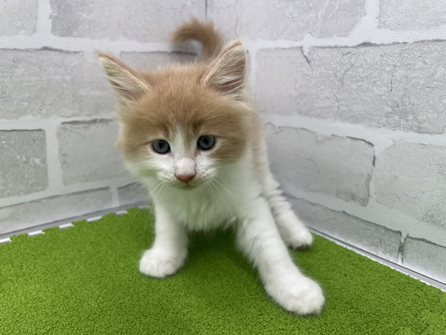 赤ちゃん写真2-1