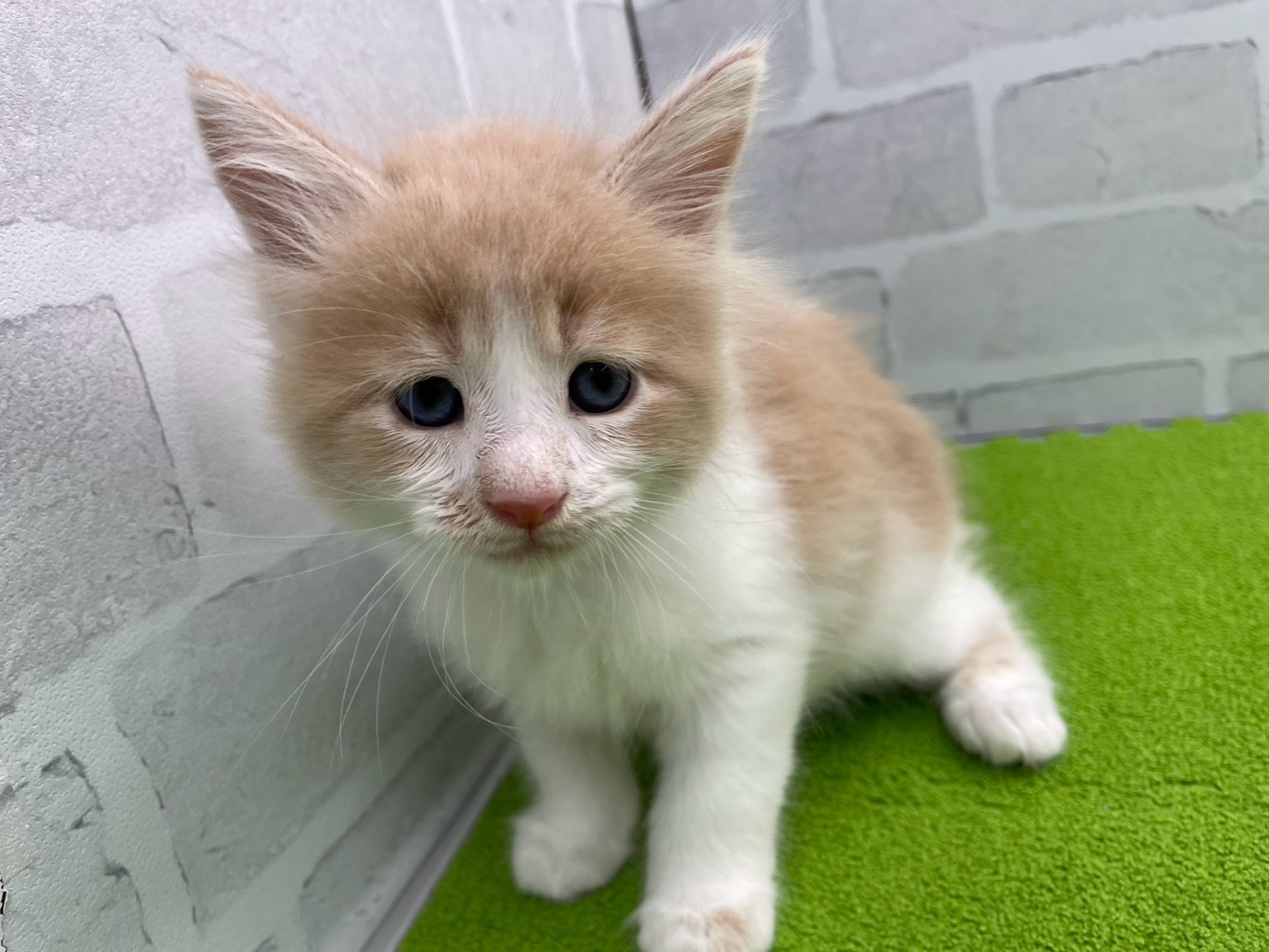 赤ちゃん写真2-1