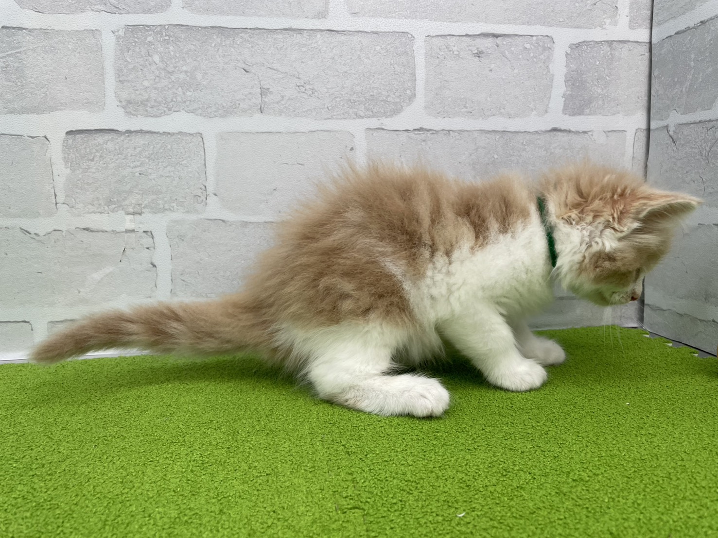 赤ちゃん写真2-2