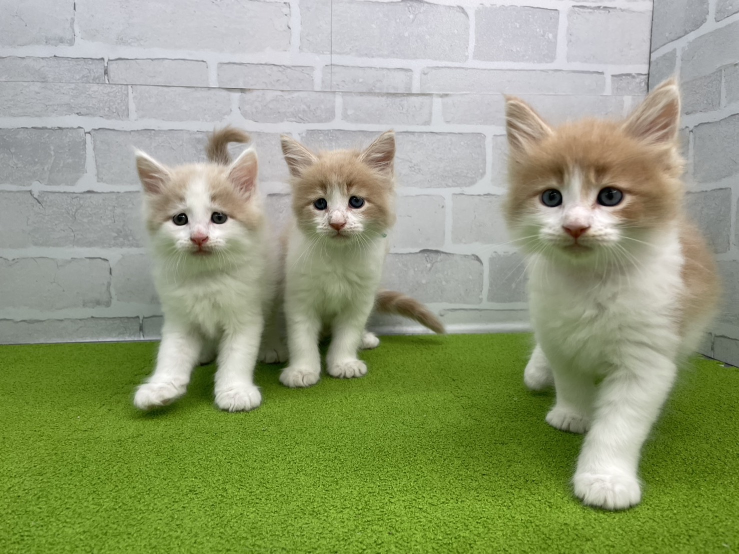 赤ちゃん写真2-3