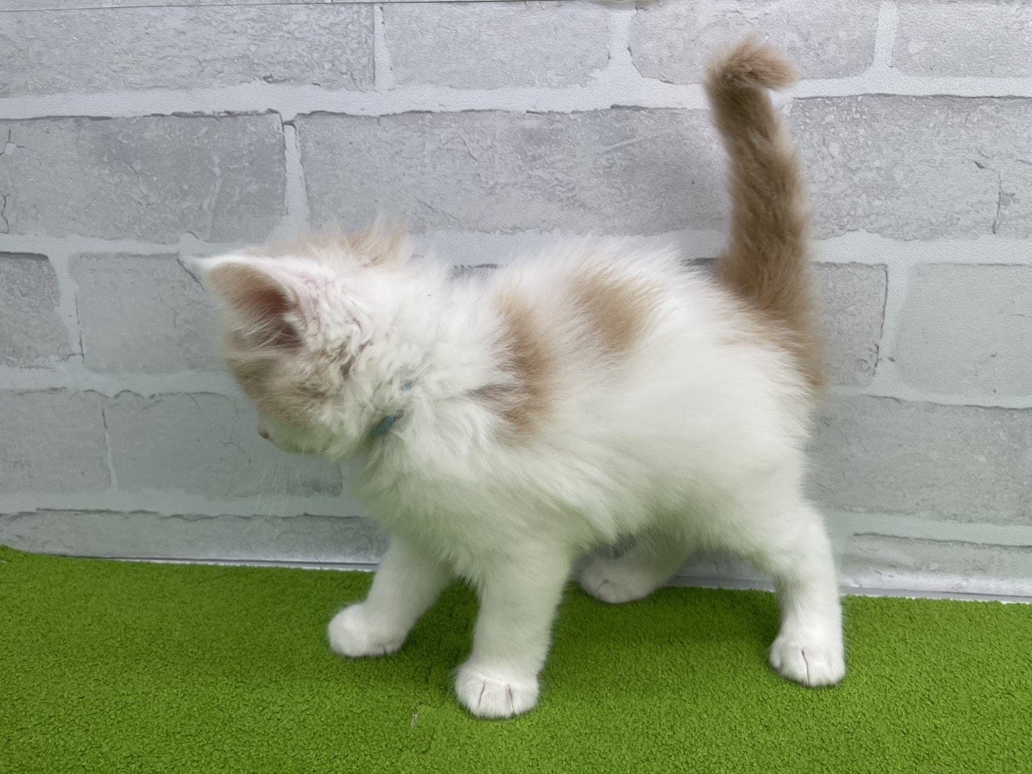 赤ちゃん写真2-2