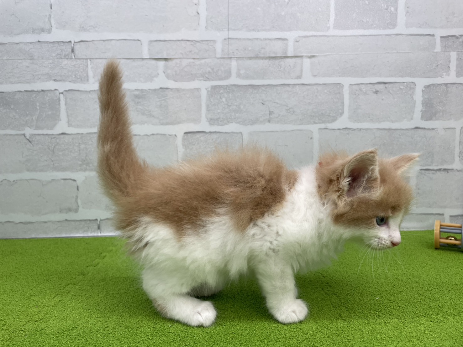 赤ちゃん写真3-2