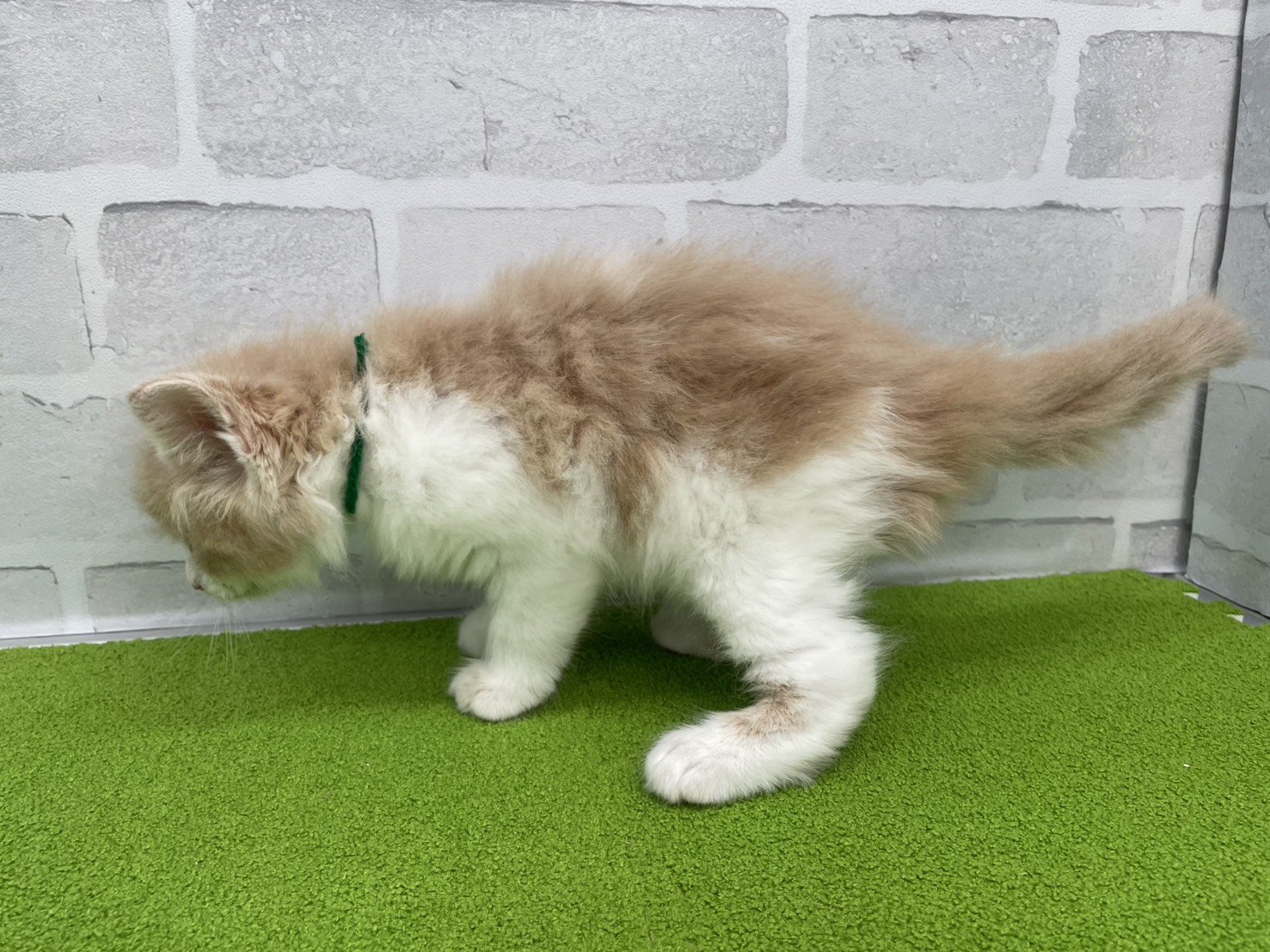 赤ちゃん写真3-2