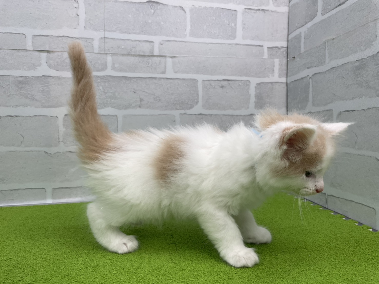 赤ちゃん写真3-2