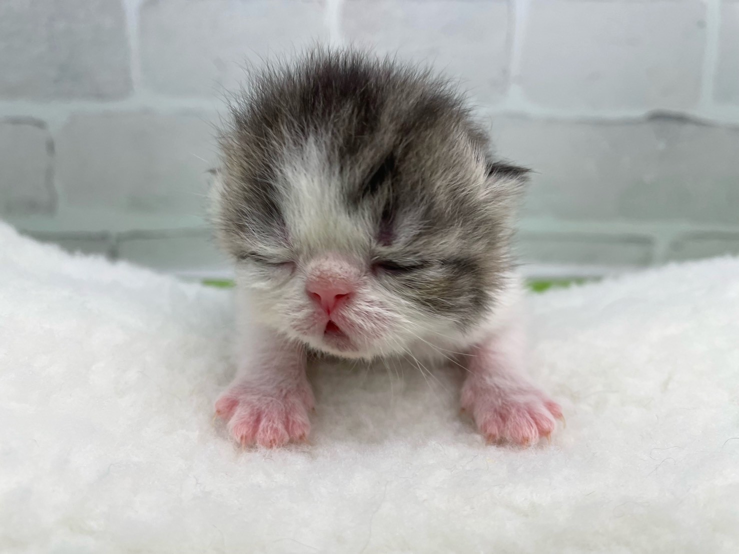 赤ちゃん写真1-1