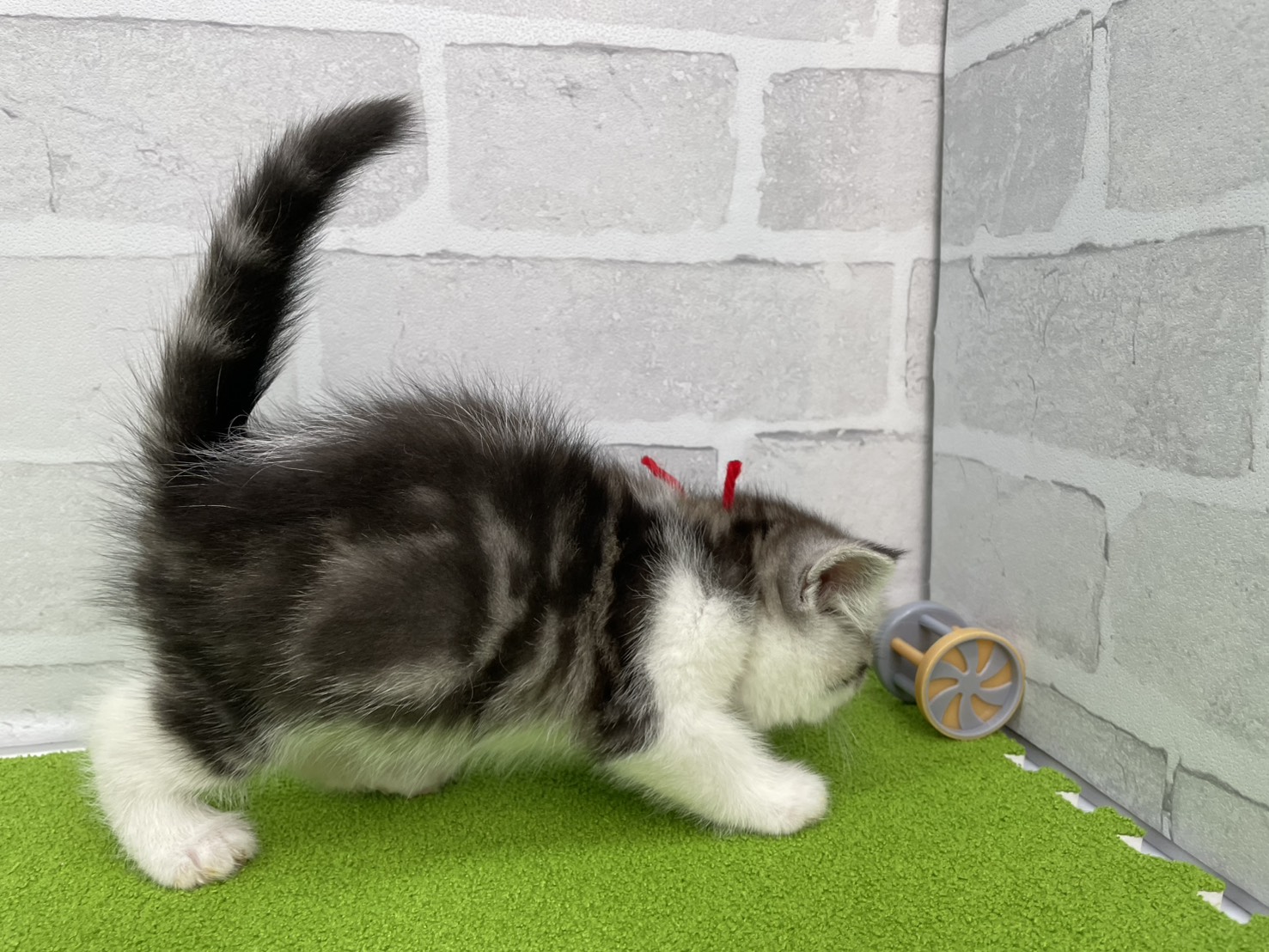 赤ちゃん写真2-2