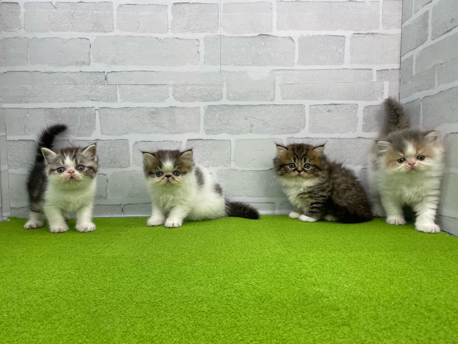 赤ちゃん写真2-3