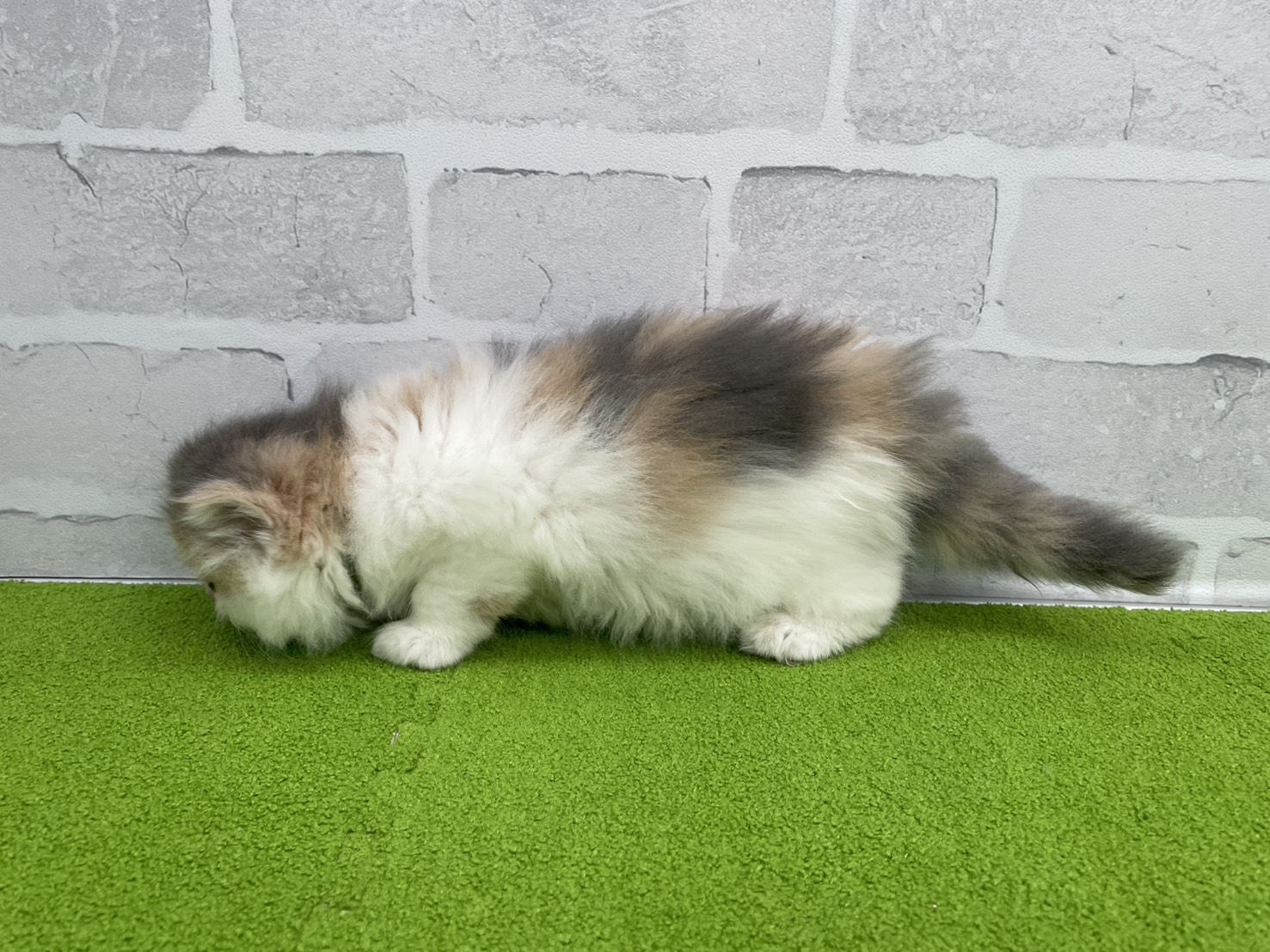 赤ちゃん写真2-2