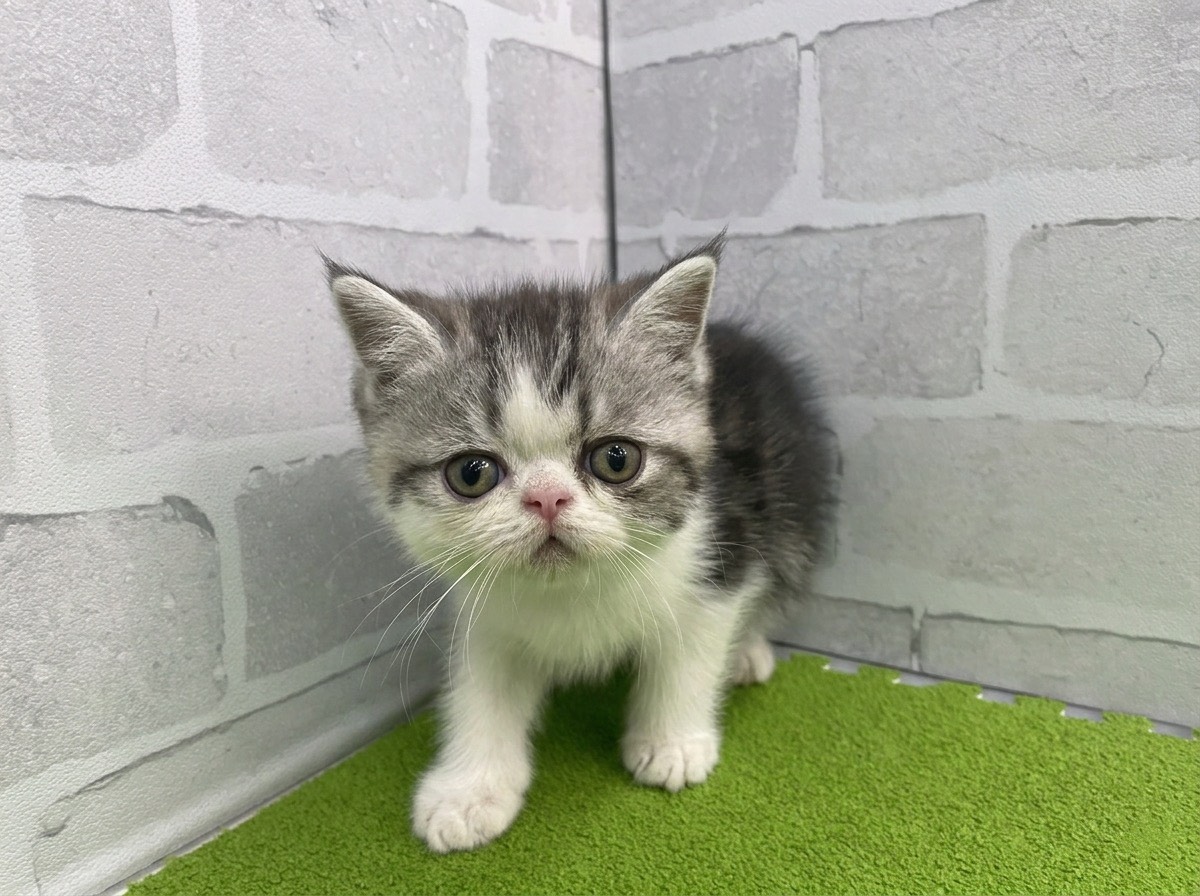 赤ちゃん写真3-1