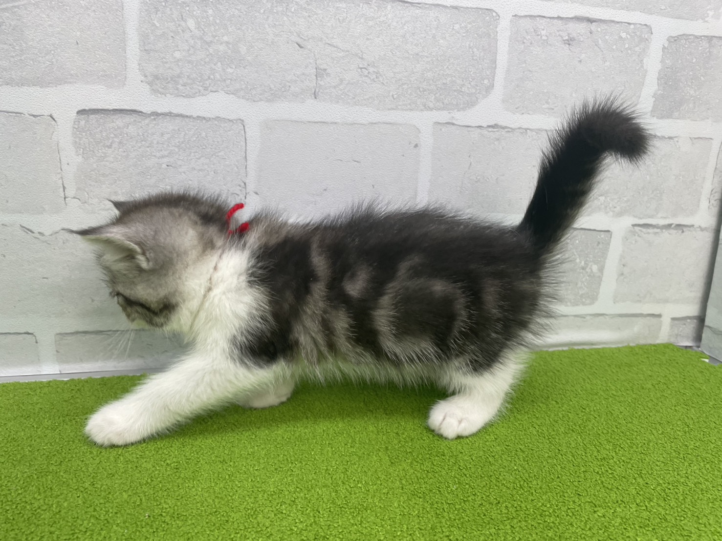 赤ちゃん写真3-2