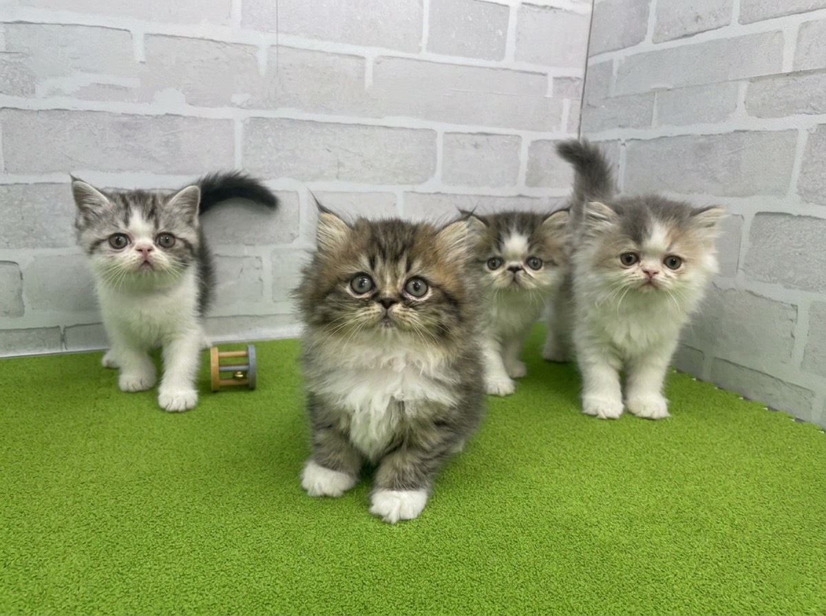 赤ちゃん写真3-3