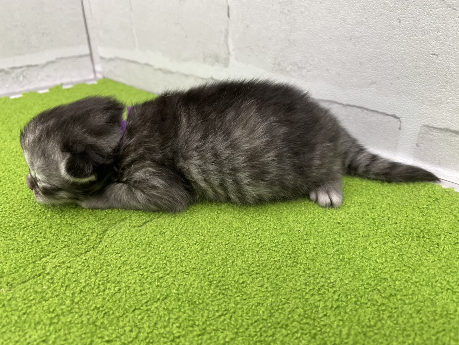 赤ちゃん写真1-2