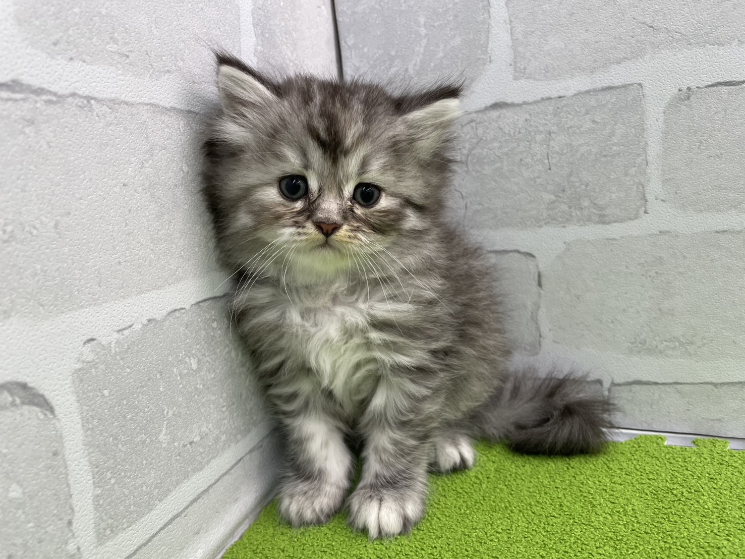 赤ちゃん写真2-1