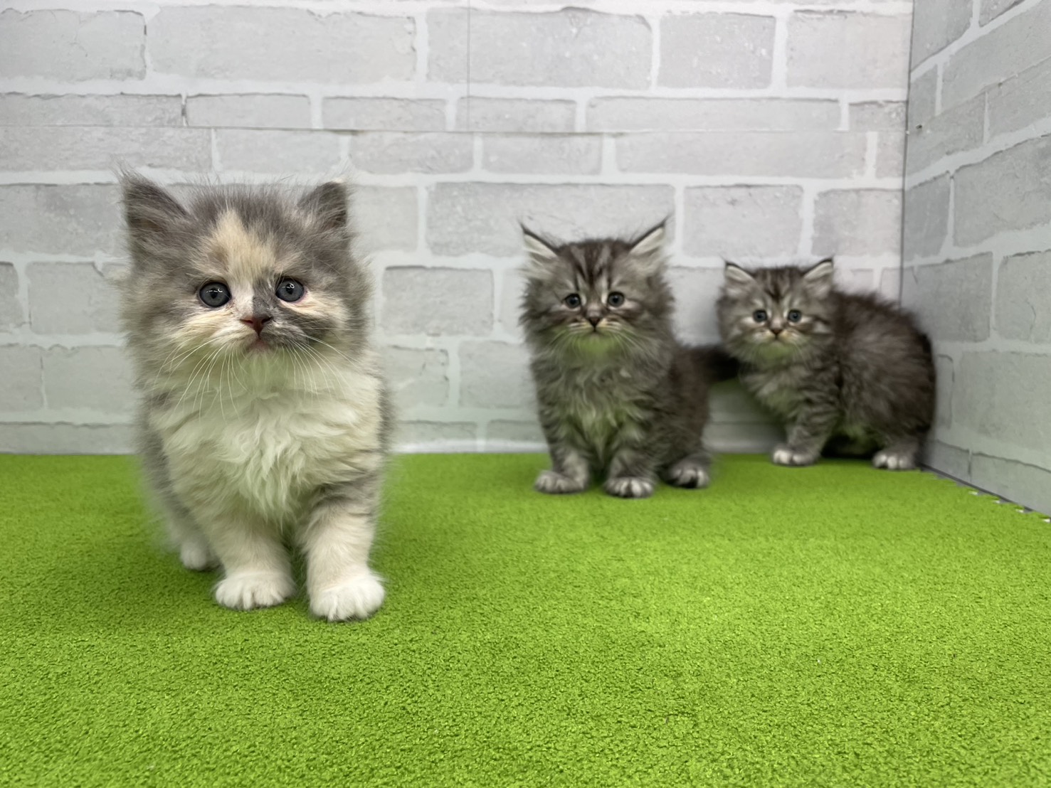 赤ちゃん写真2-3