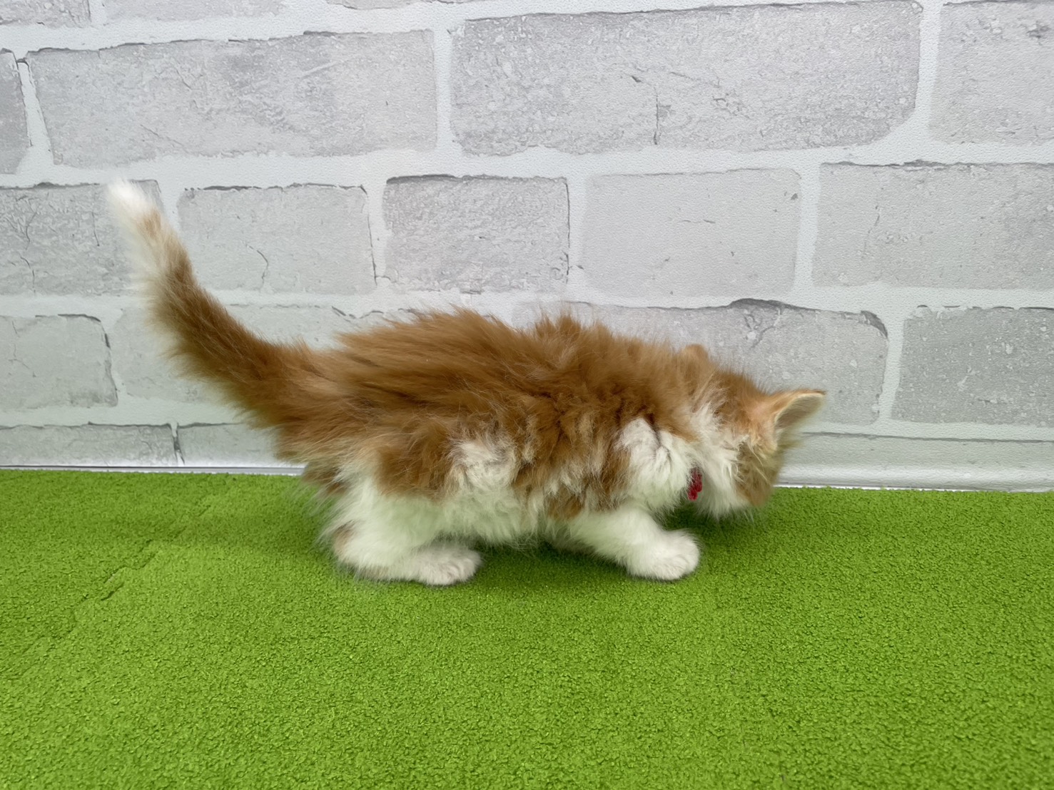 赤ちゃん写真2-2