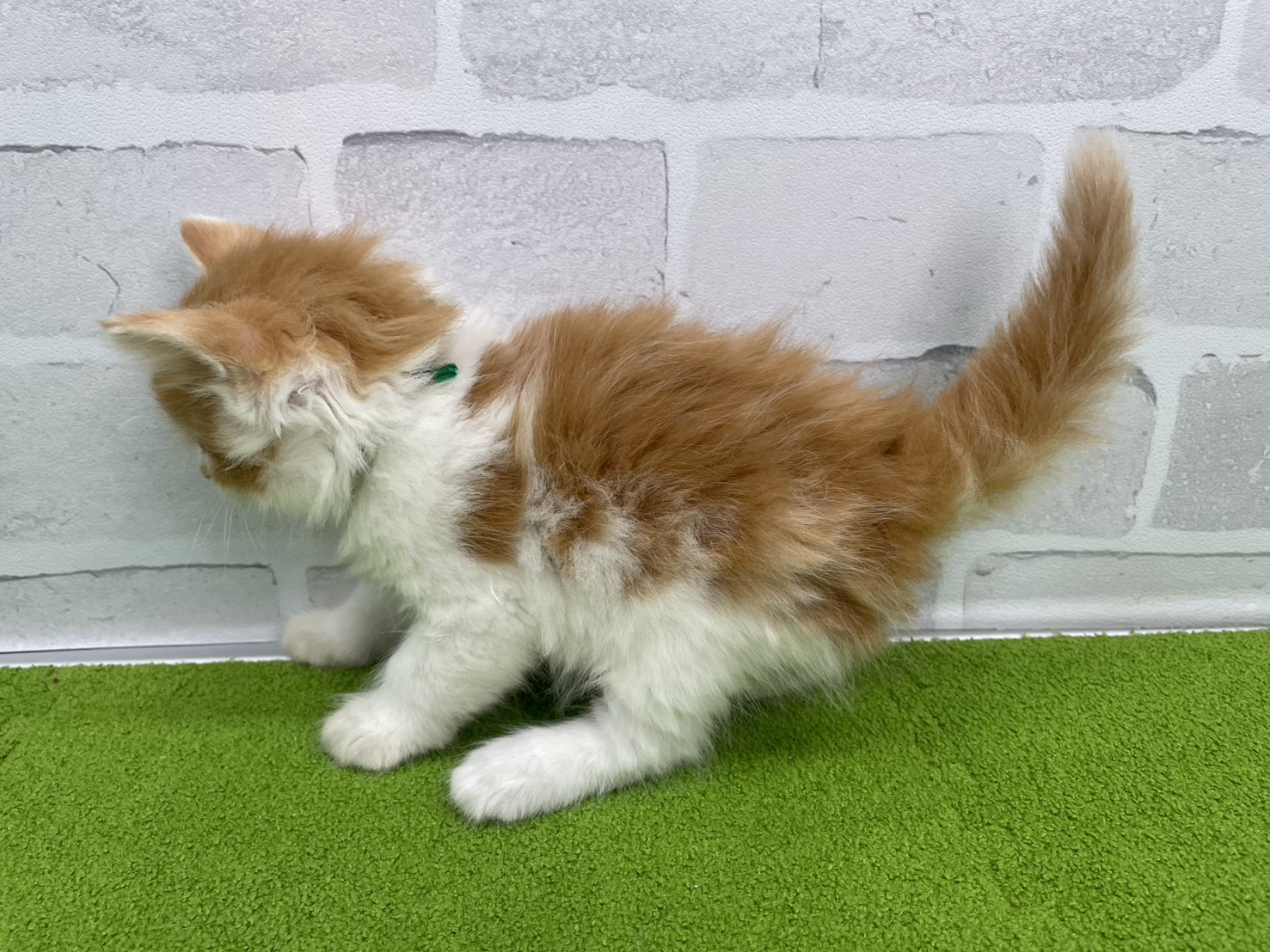 赤ちゃん写真2-2