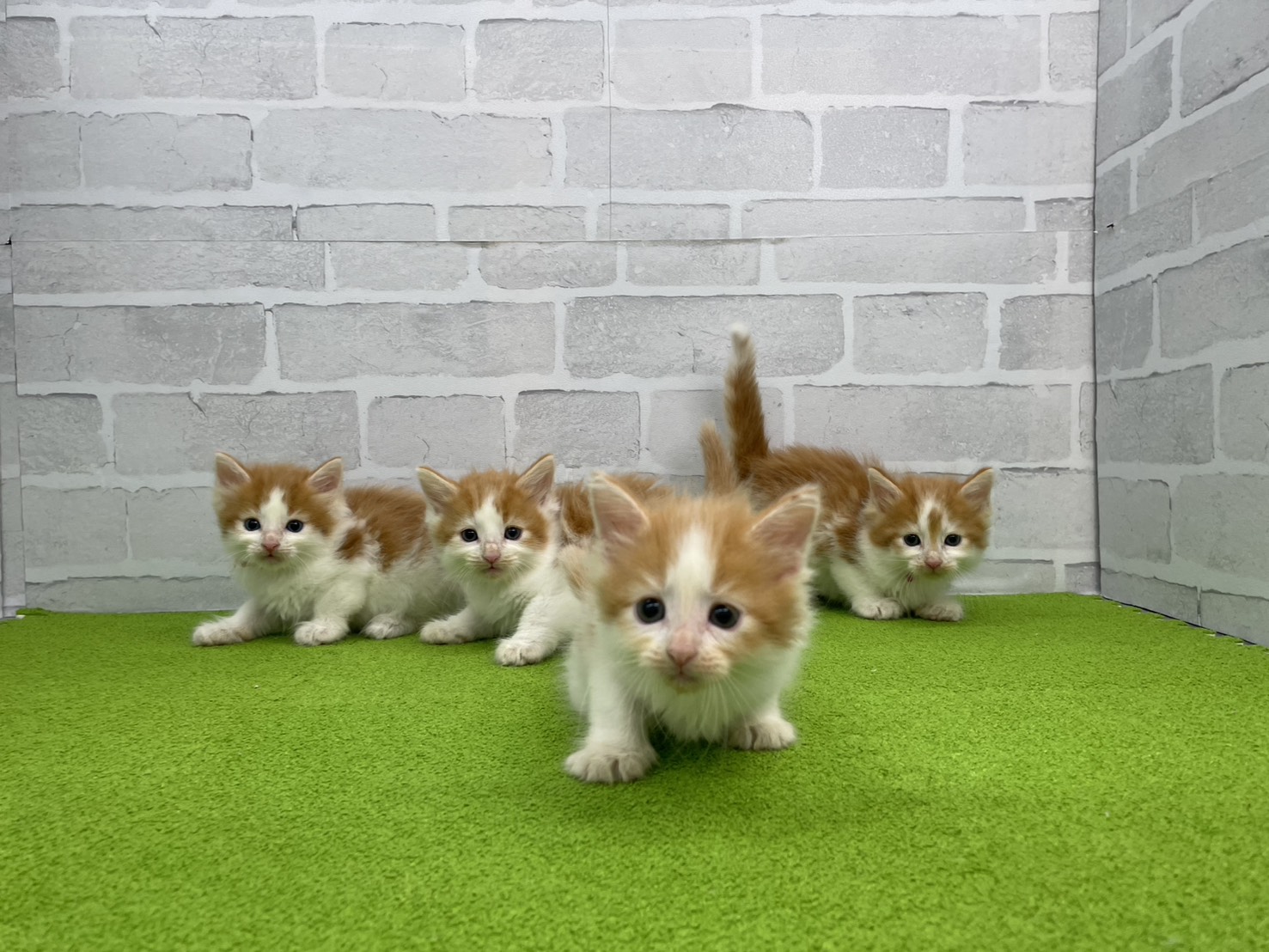 赤ちゃん写真2-3