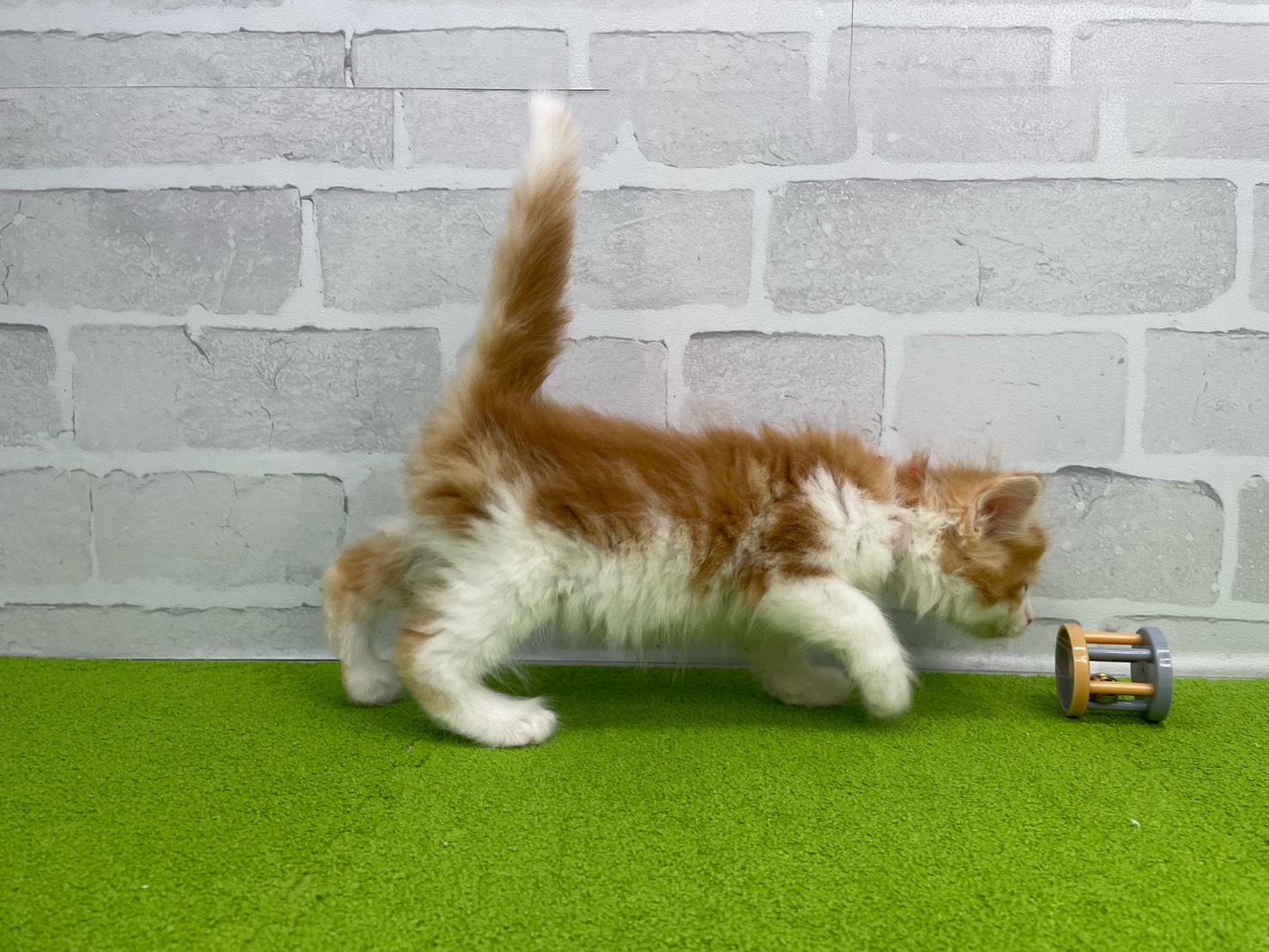 赤ちゃん写真3-2