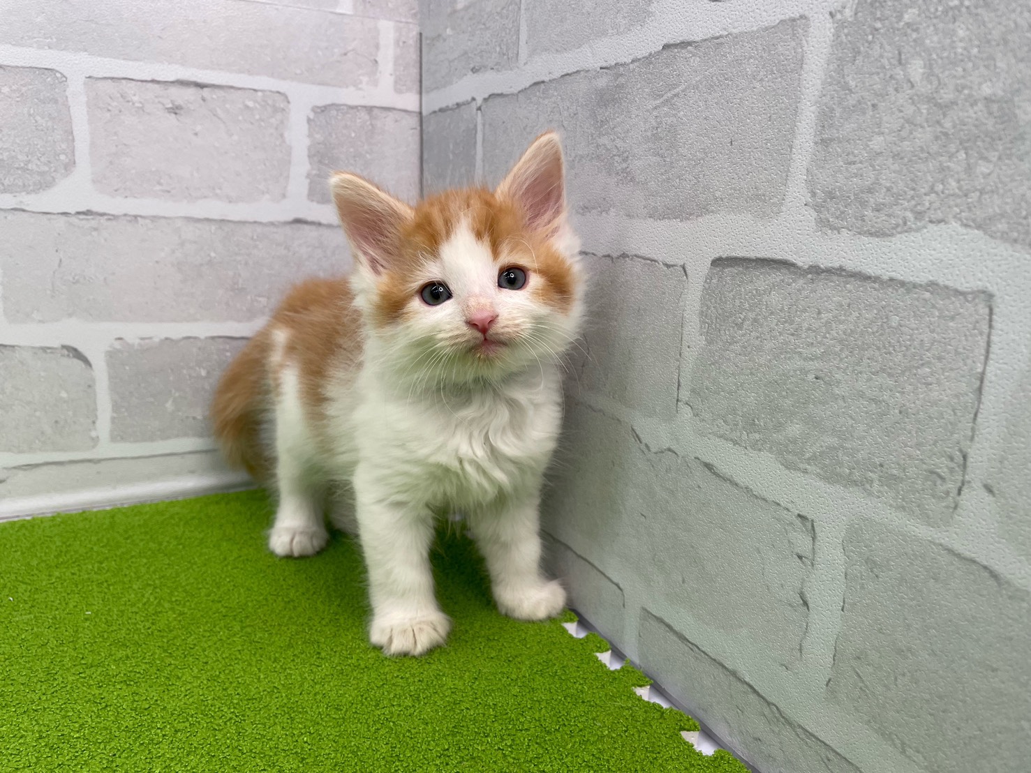 赤ちゃん写真3-1