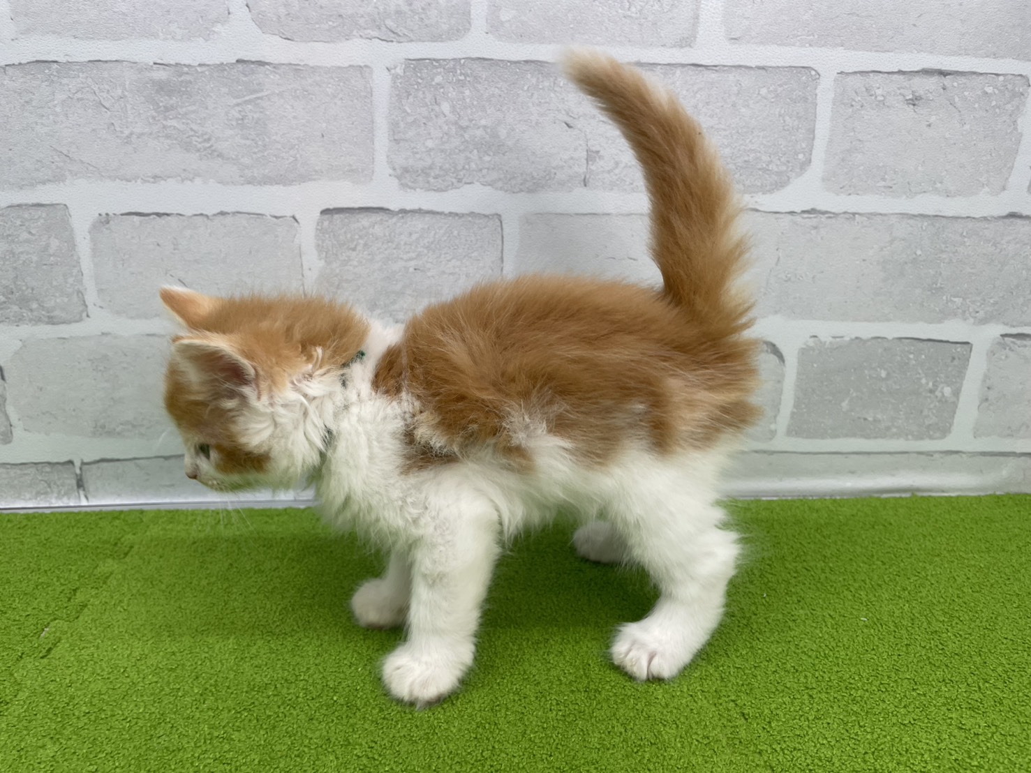 赤ちゃん写真3-2