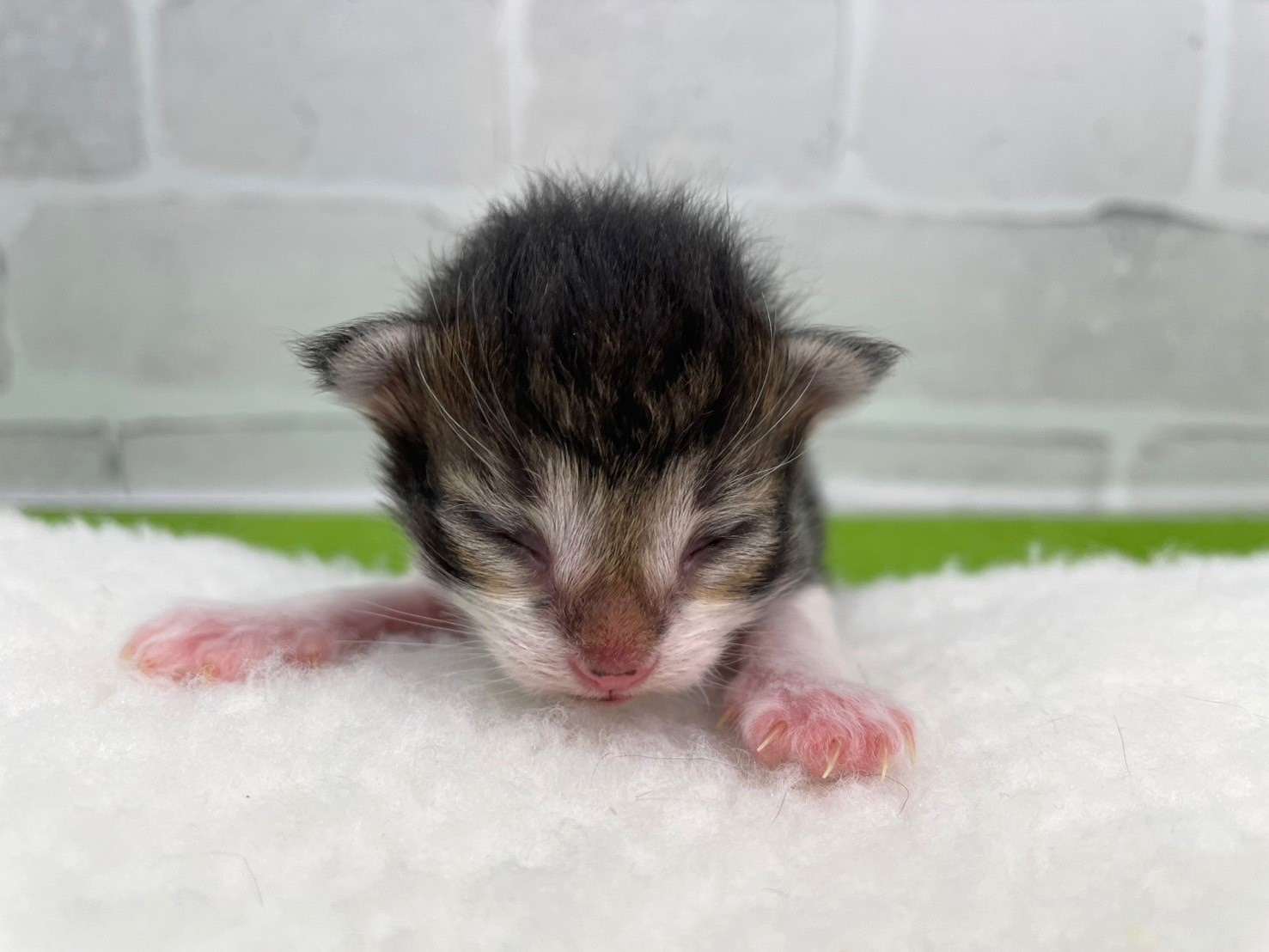 赤ちゃん写真1-1