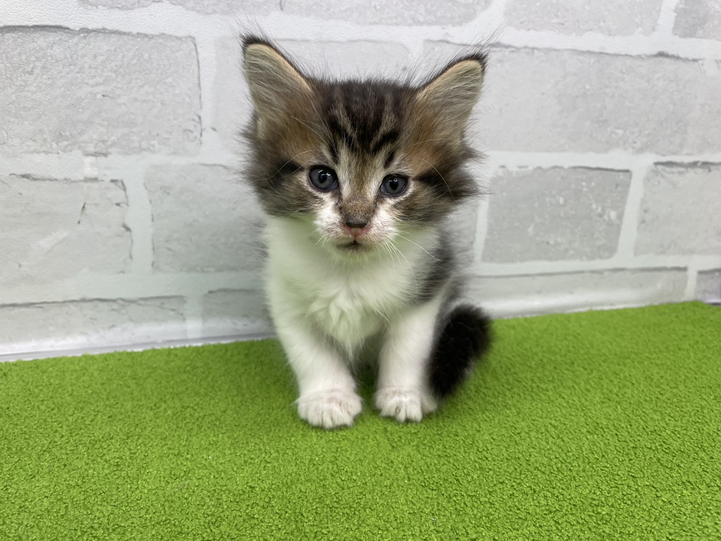 赤ちゃん写真2-1