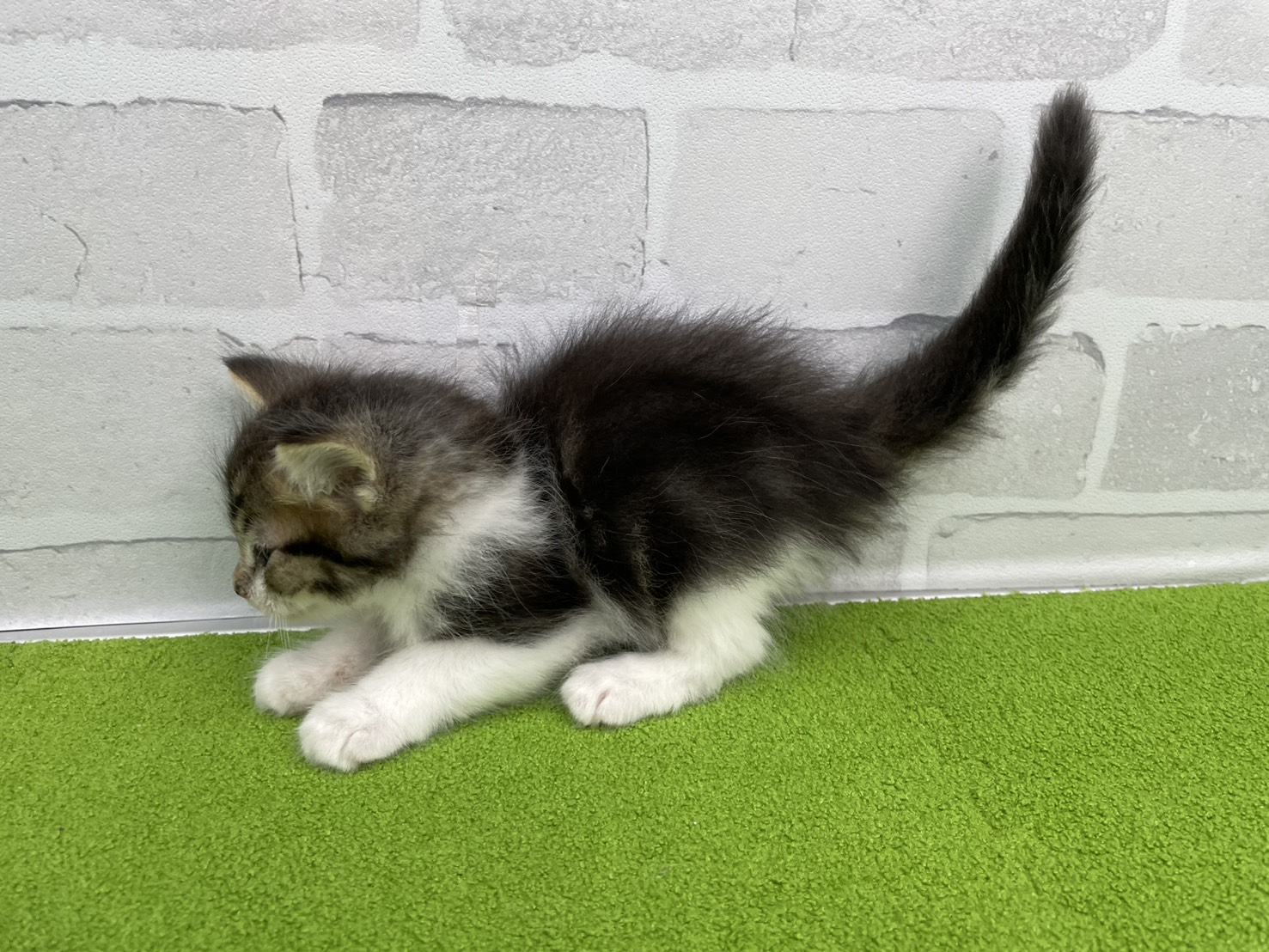 赤ちゃん写真2-2