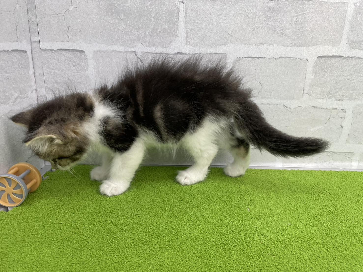 赤ちゃん写真3-2