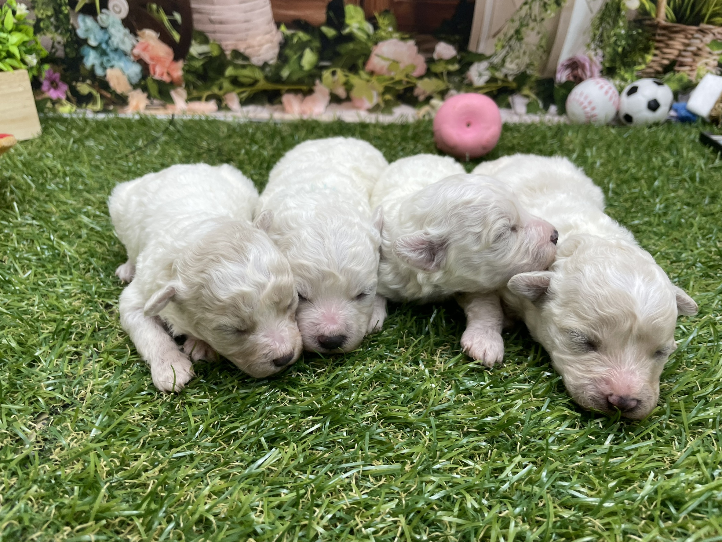 赤ちゃん写真1-3