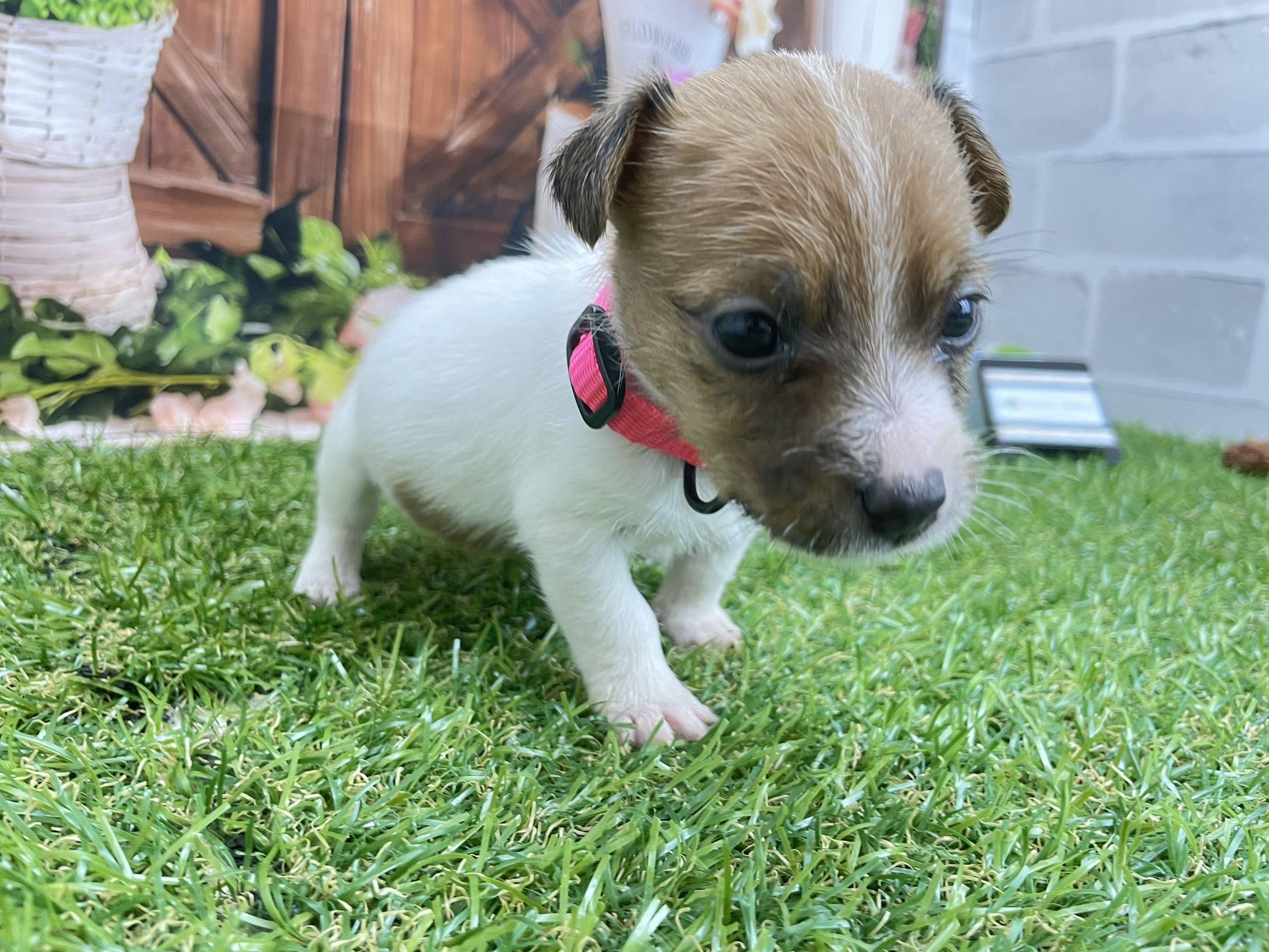 赤ちゃん写真2-1